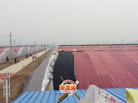 點擊查看詳細信息<br>標題：生態(tài)大棚外景 閱讀次數(shù)：7047