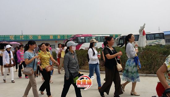 點(diǎn)擊查看詳細(xì)信息<br>標(biāo)題：縣婦聯(lián)來采摘 閱讀次數(shù)：6642