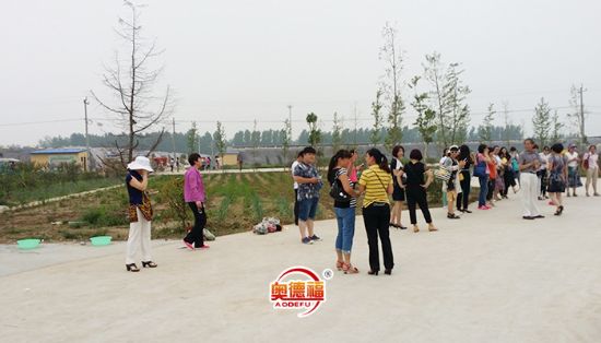 點(diǎn)擊查看詳細(xì)信息<br>標(biāo)題：縣婦聯(lián)來采摘 閱讀次數(shù)：6640