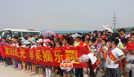 點(diǎn)擊查看詳細(xì)信息<br>標(biāo)題：采摘團(tuán) 閱讀次數(shù)：6719